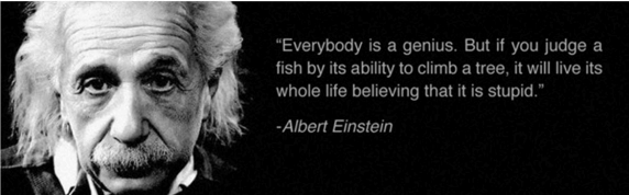 Recognizing Genius